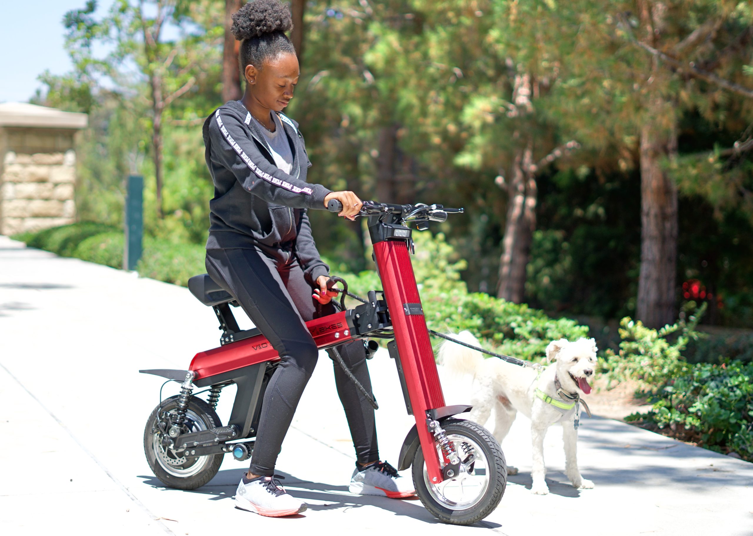 woman and dog with electric bike